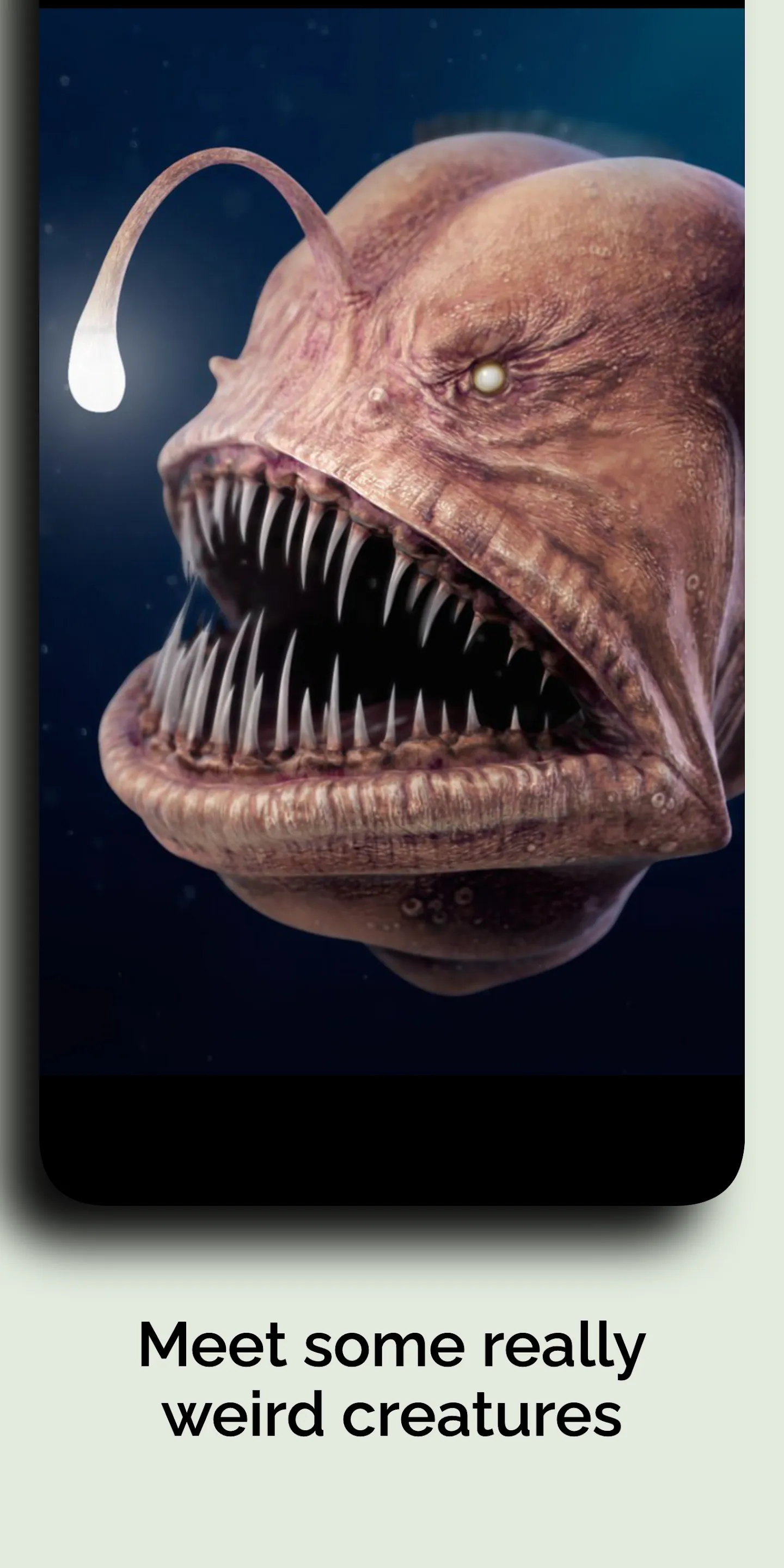 Natural History Museum | Indus Appstore | Screenshot