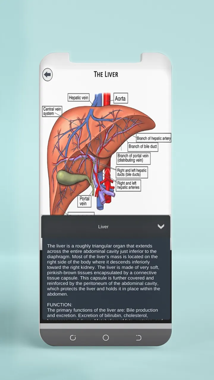 Female Anatomy 3D Anatomy App | Indus Appstore | Screenshot