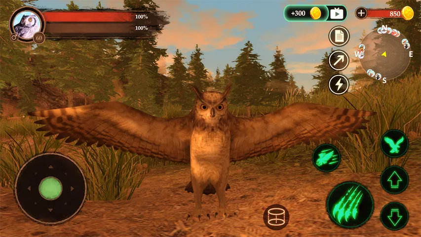 The Owl | Indus Appstore | Screenshot