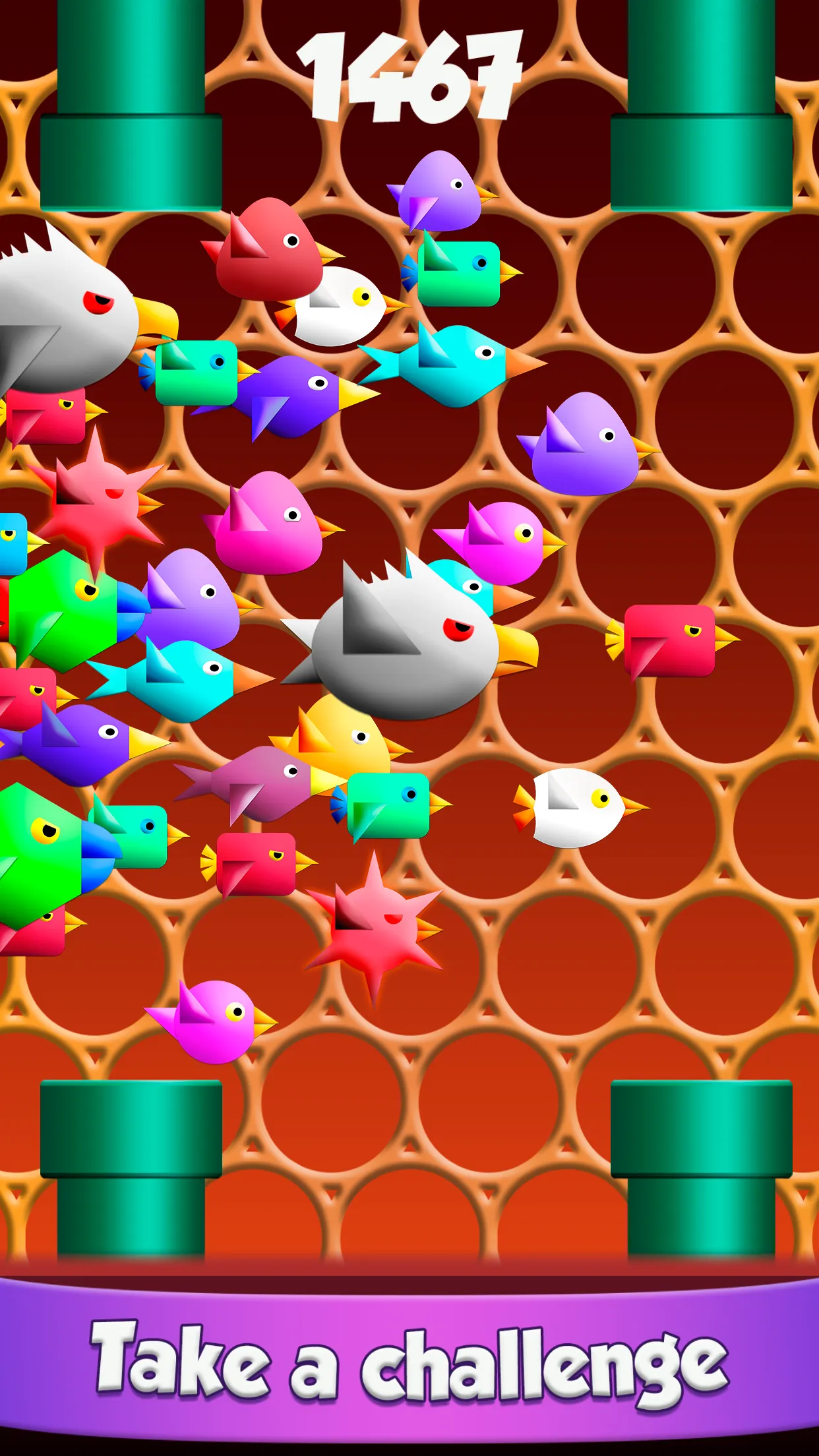 Cool Birds Fun Smash for Kids | Indus Appstore | Screenshot