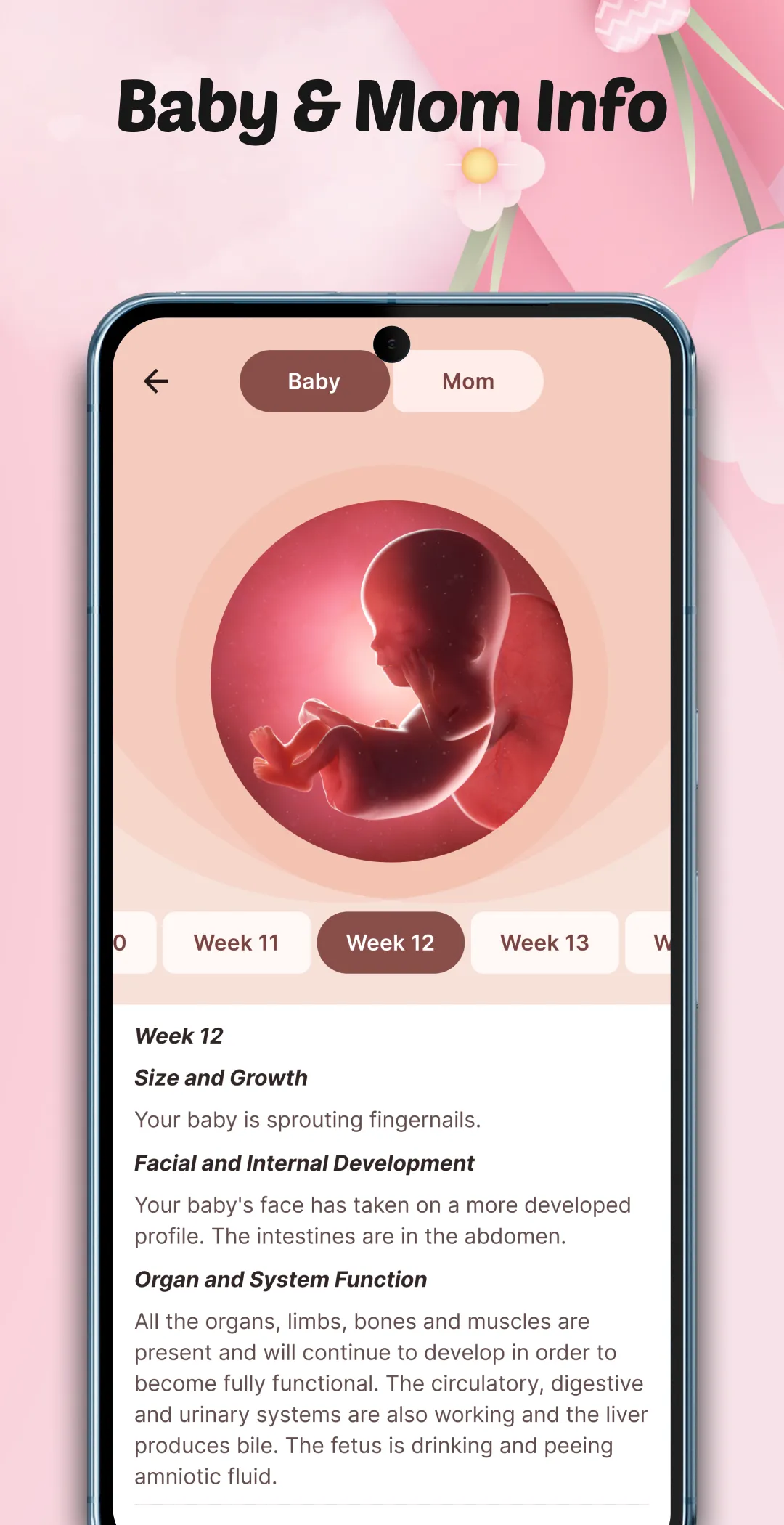 Pregnancy Tracker: Baby Growth | Indus Appstore | Screenshot