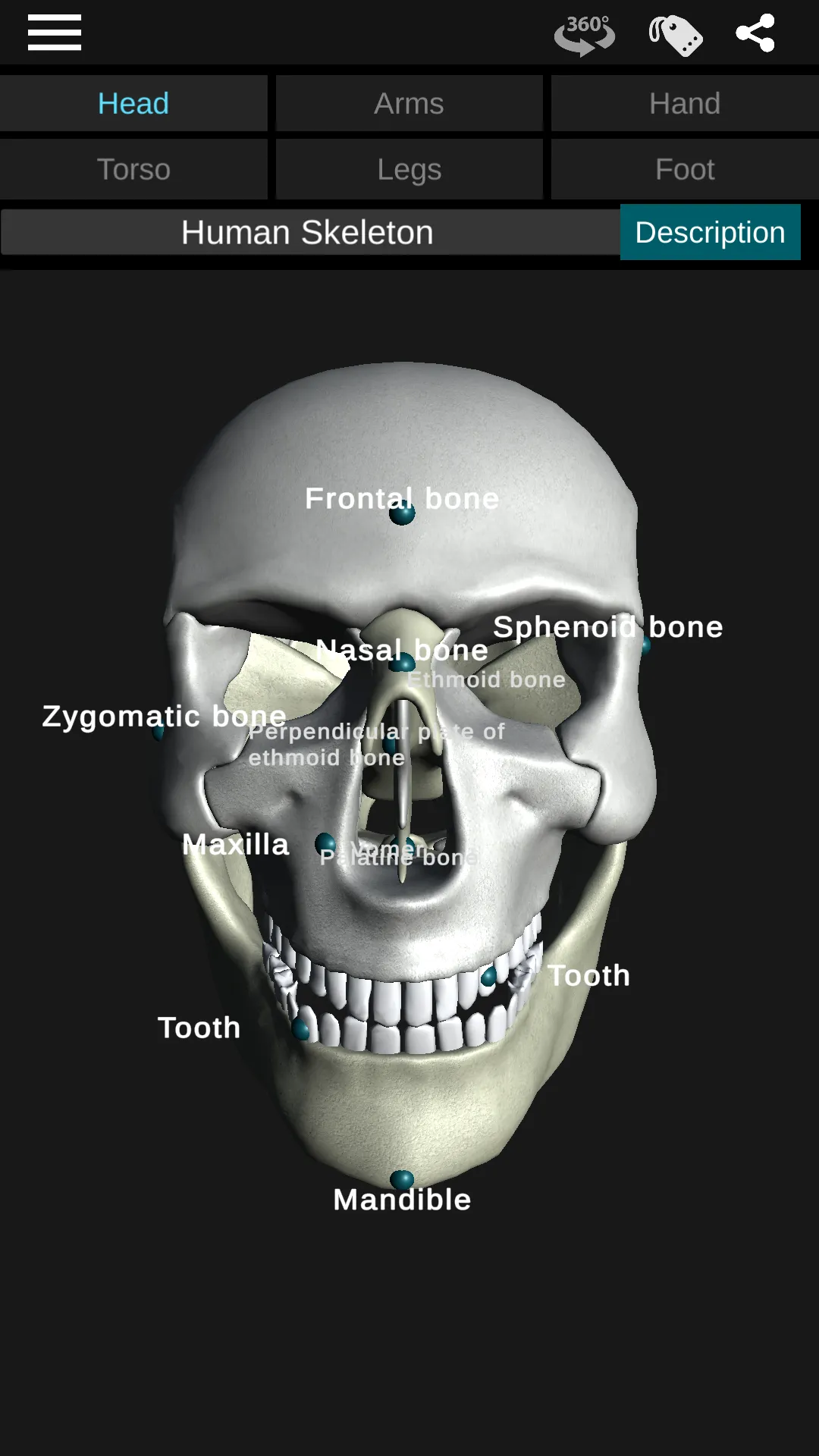 Osseous System in 3D (Anatomy) | Indus Appstore | Screenshot