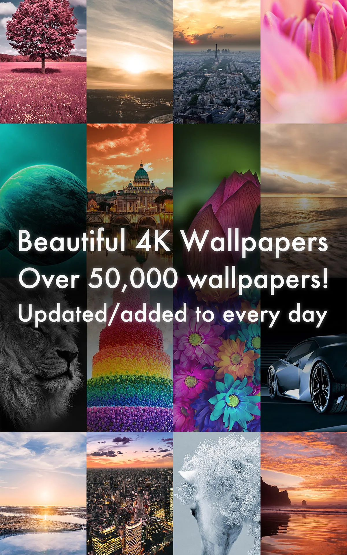 Beautiful 4K/HDR Wallpapers | Indus Appstore | Screenshot