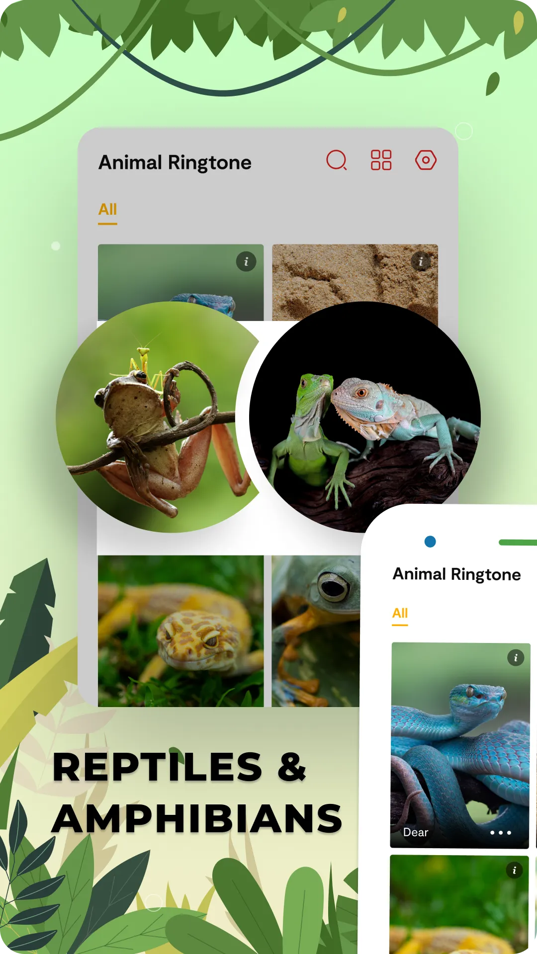 Animal Ringtones: Bird Sounds | Indus Appstore | Screenshot