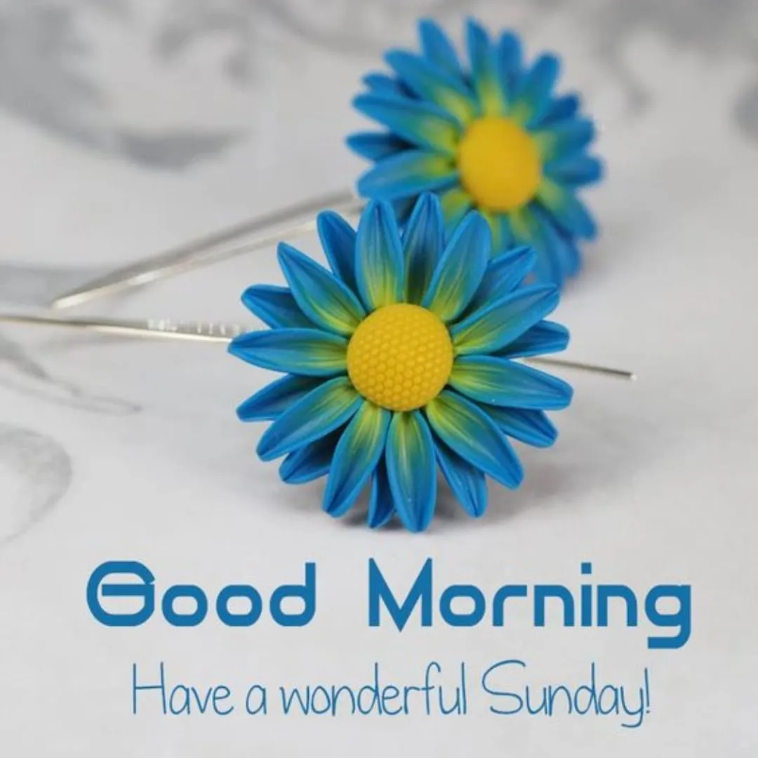 Good Morning Flower Wishes | Indus Appstore | Screenshot