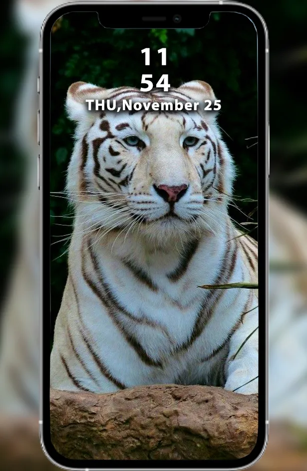 Wild Tiger & Lion Wallpapers | Indus Appstore | Screenshot