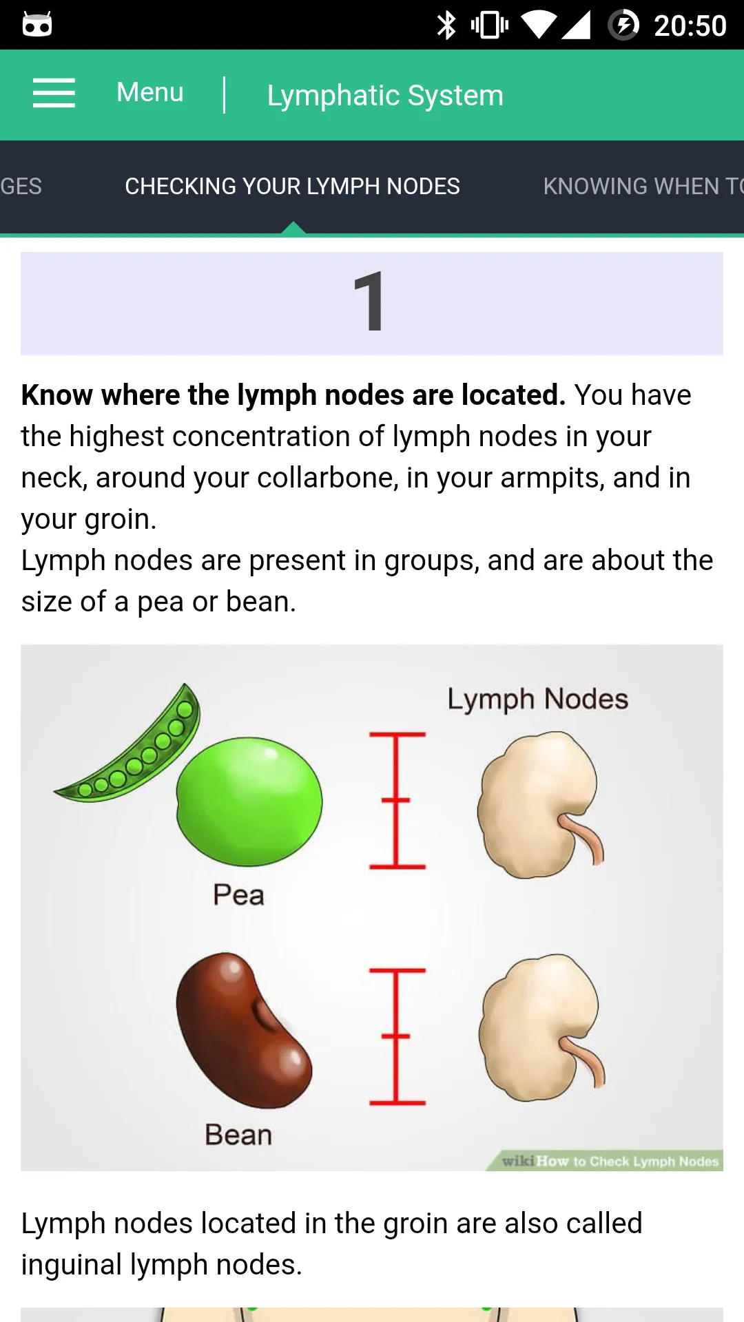 Lymphatic System Reference | Indus Appstore | Screenshot