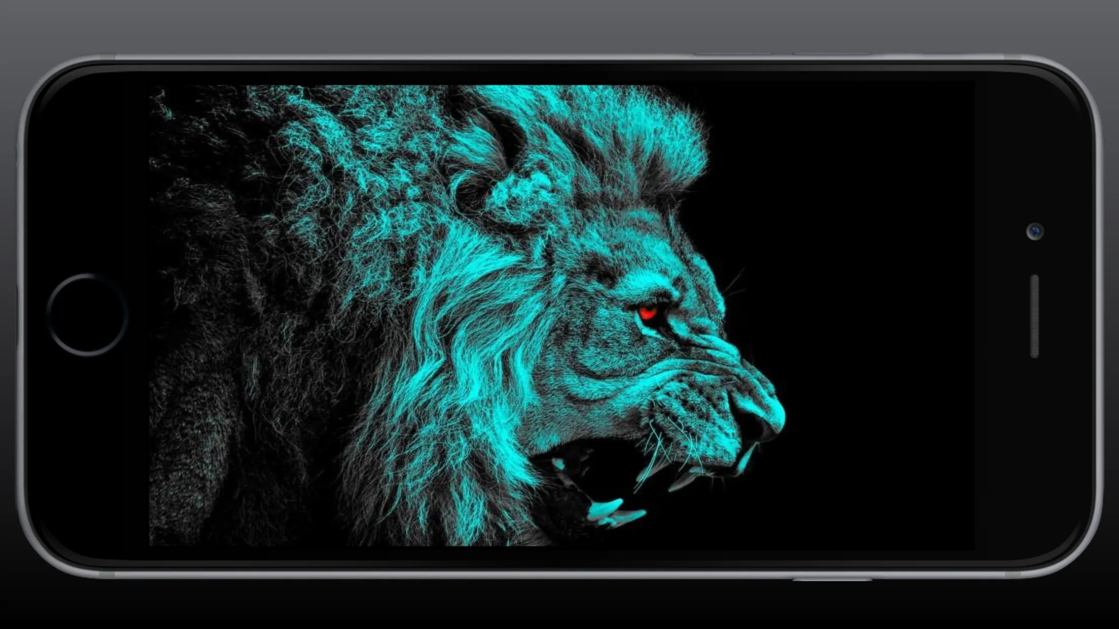 Lion Wallpaper | Indus Appstore | Screenshot