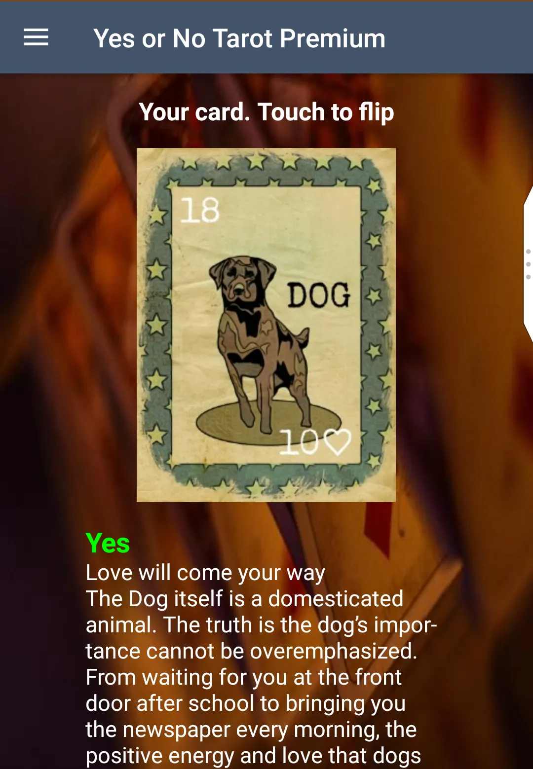 Yes or No Tarot Card Oracle | Indus Appstore | Screenshot