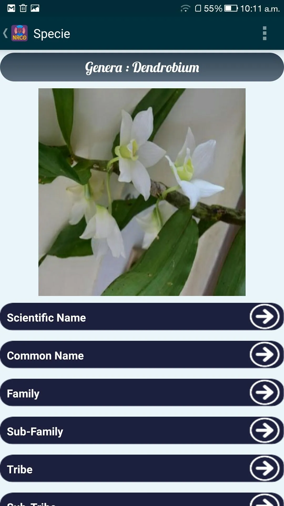 OrchidoPedia | Indus Appstore | Screenshot