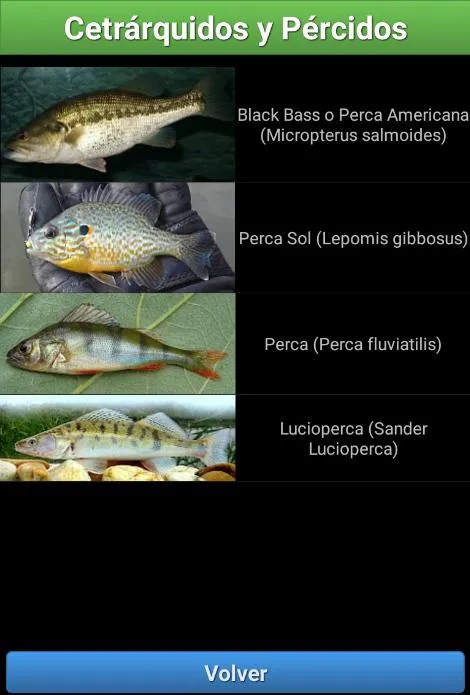 Guia de Peces de Río | Indus Appstore | Screenshot