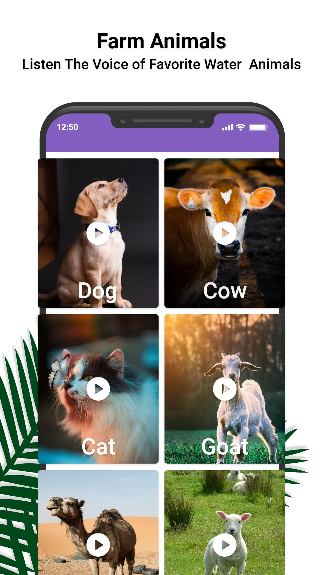 Animal Ringtones: Animal Sound | Indus Appstore | Screenshot