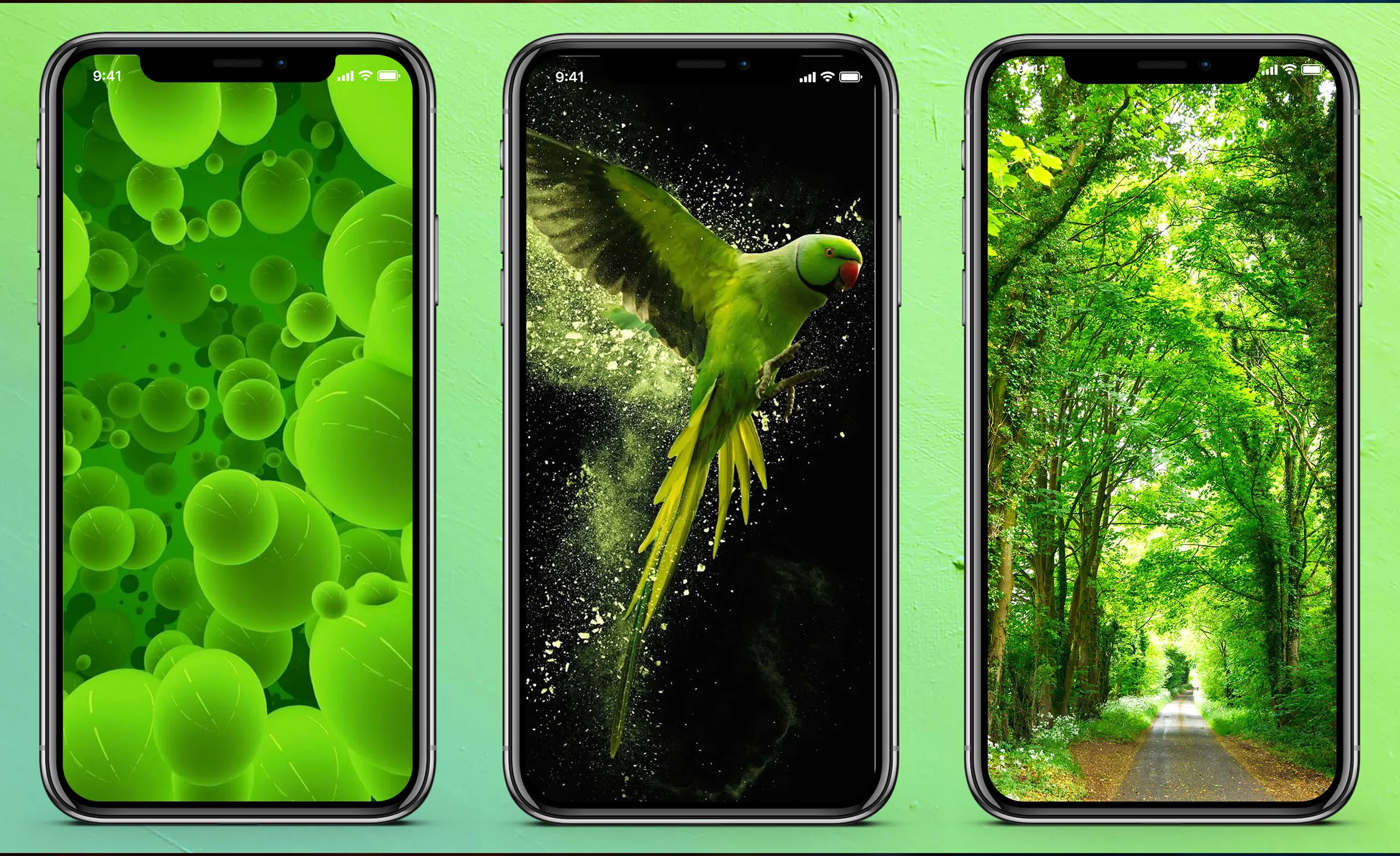 Green Wallpaper | Indus Appstore | Screenshot