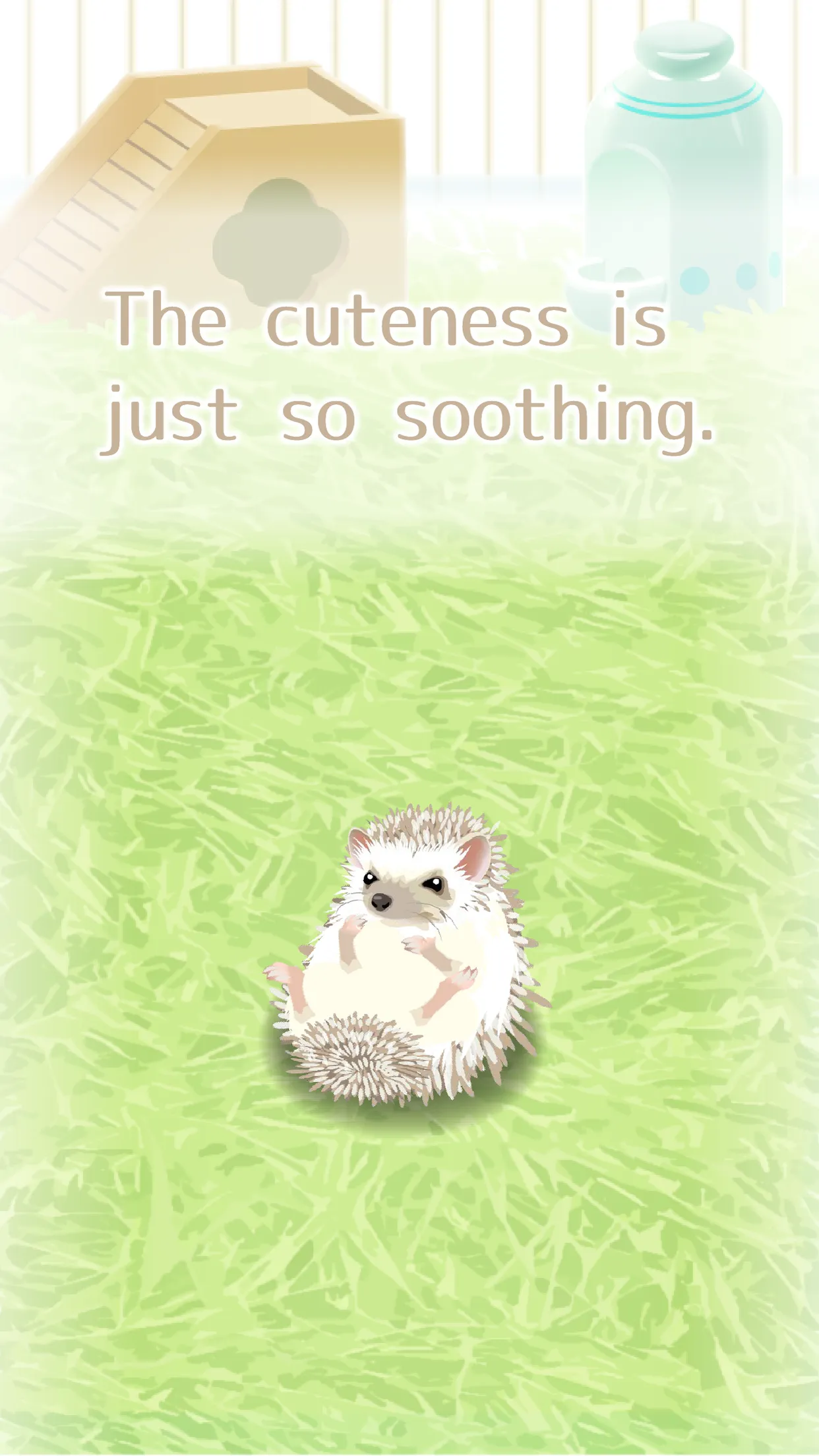 Hedgehog Pet | Indus Appstore | Screenshot