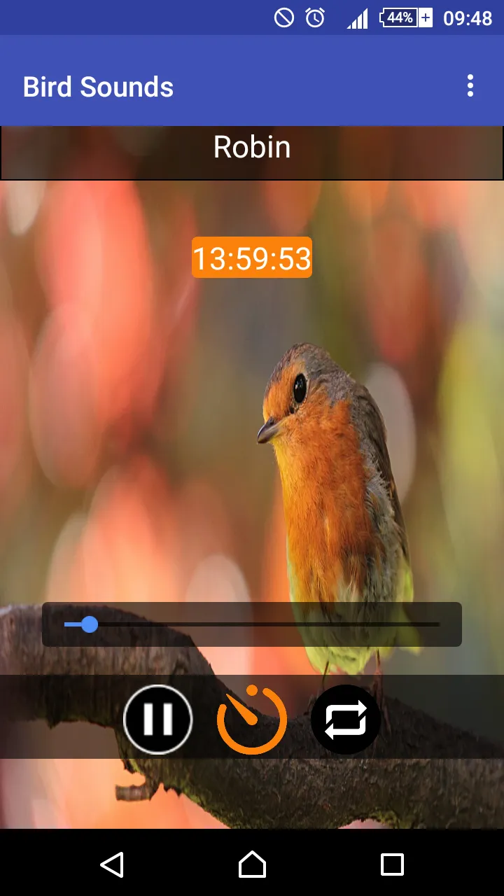 Relax & Sleep with Bird Sounds | Indus Appstore | Screenshot