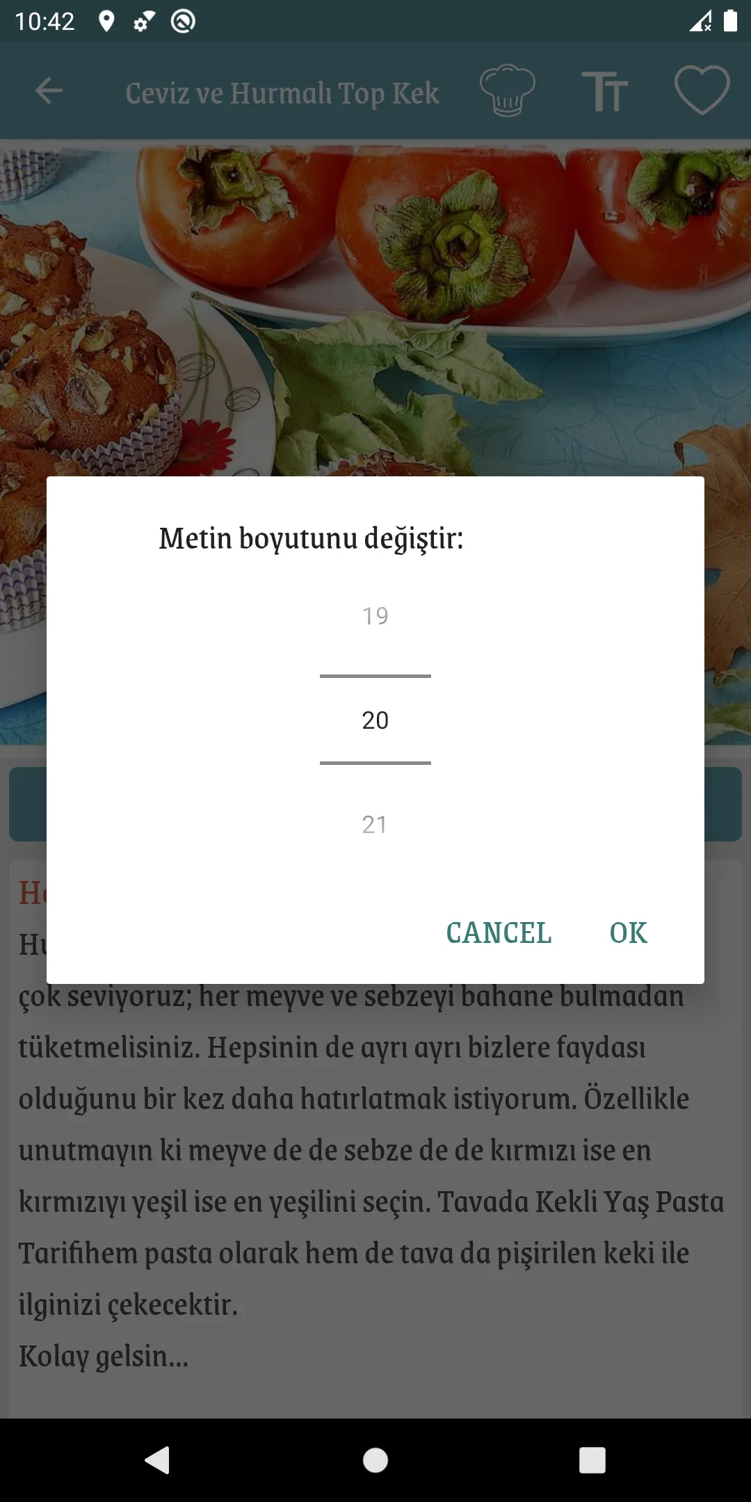 İnternetsiz Yemek Tarifleri | Indus Appstore | Screenshot