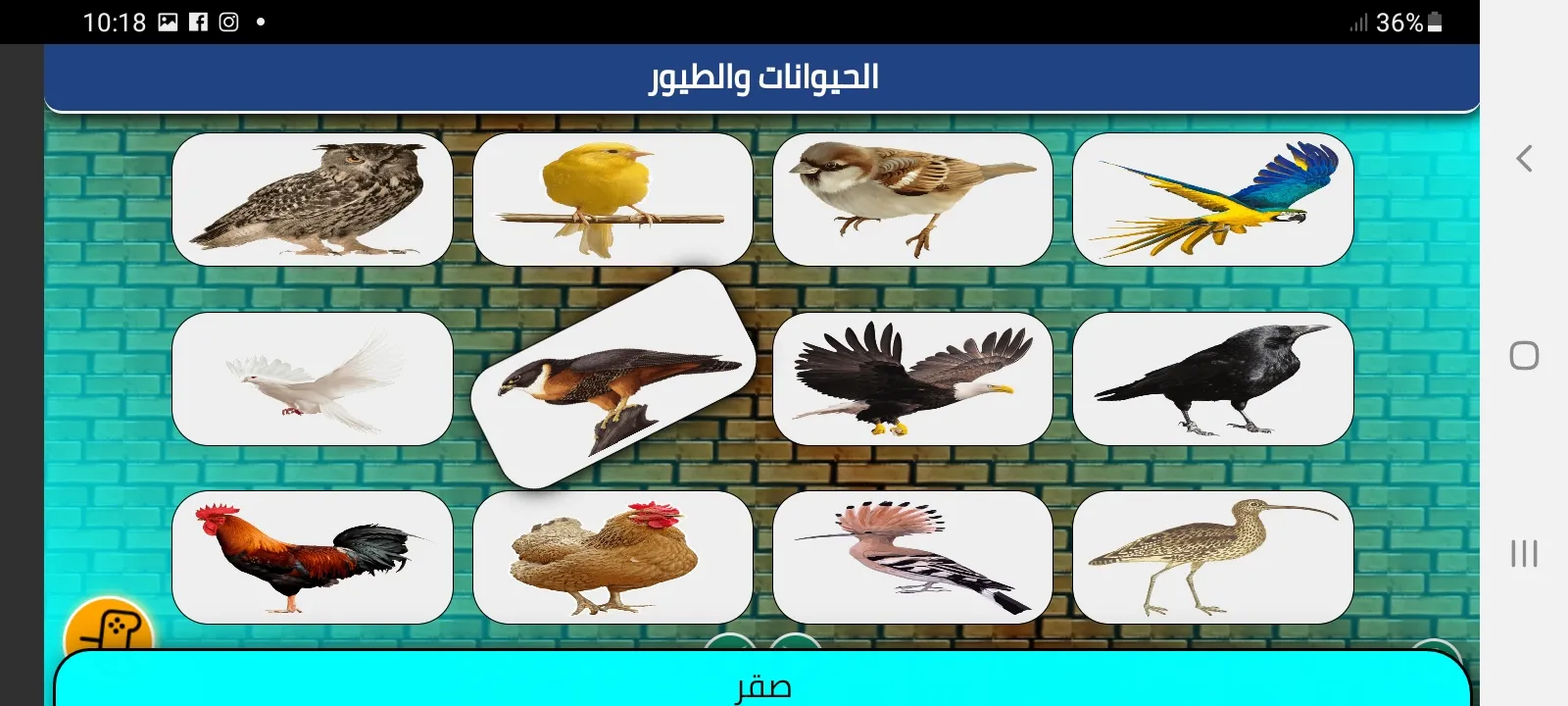 Animals and birds | Indus Appstore | Screenshot