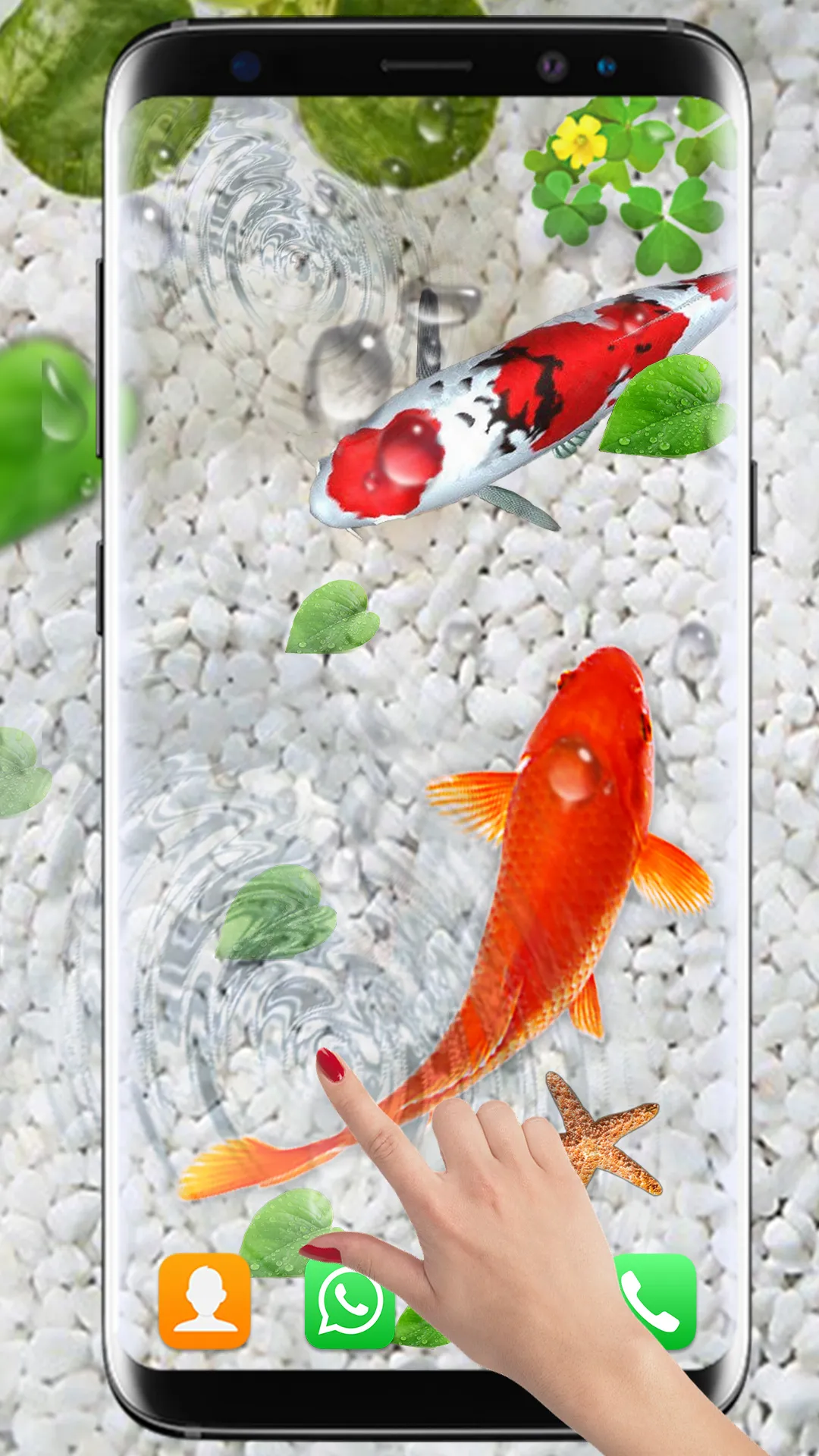 Koi Fish Live Wallpapers HD | Indus Appstore | Screenshot