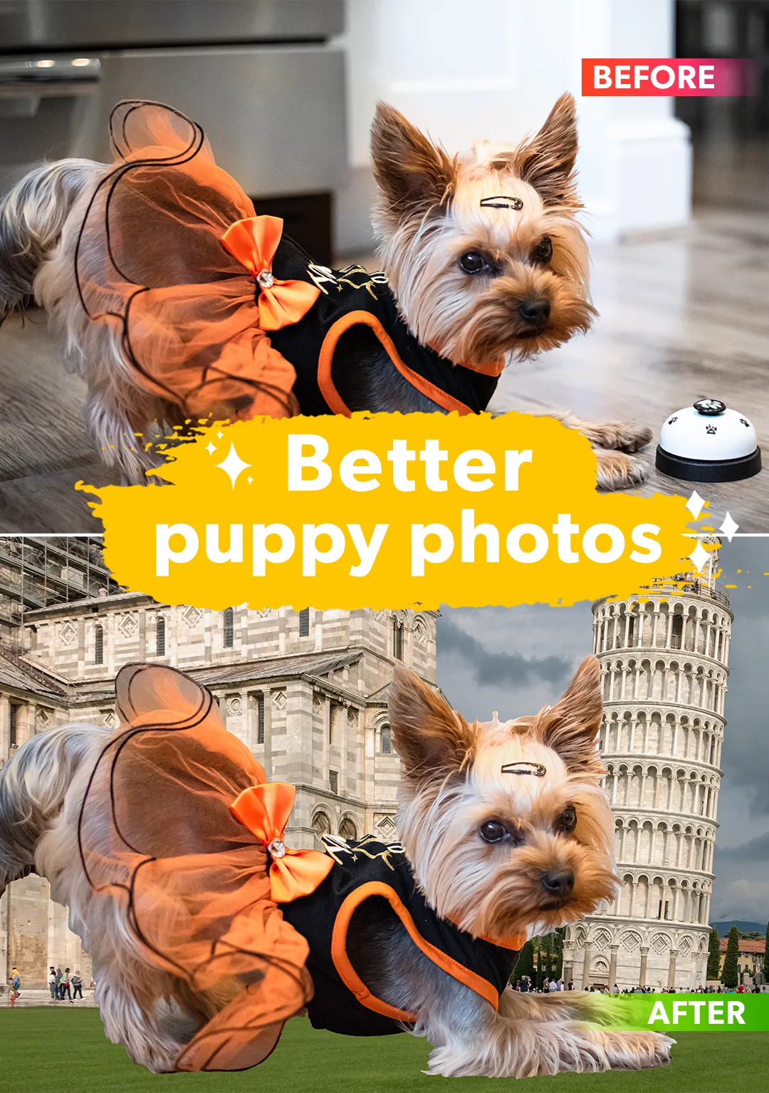 Dog Photo Editor | Indus Appstore | Screenshot