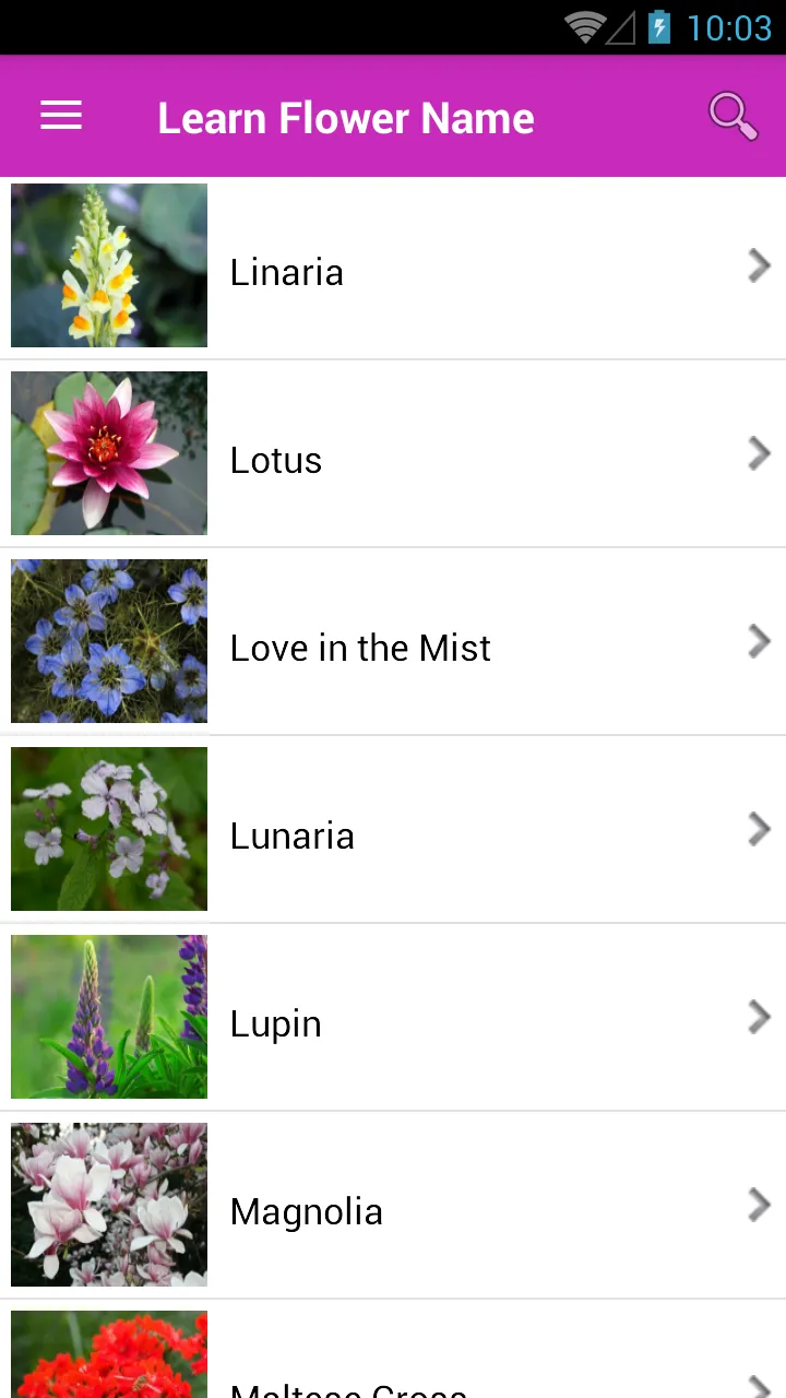 Learn Flower Name | Indus Appstore | Screenshot