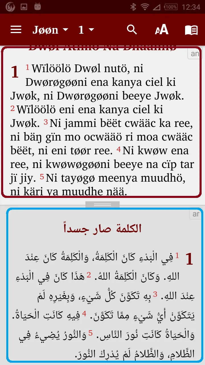 Anyuak English Arabic Swahili | Indus Appstore | Screenshot