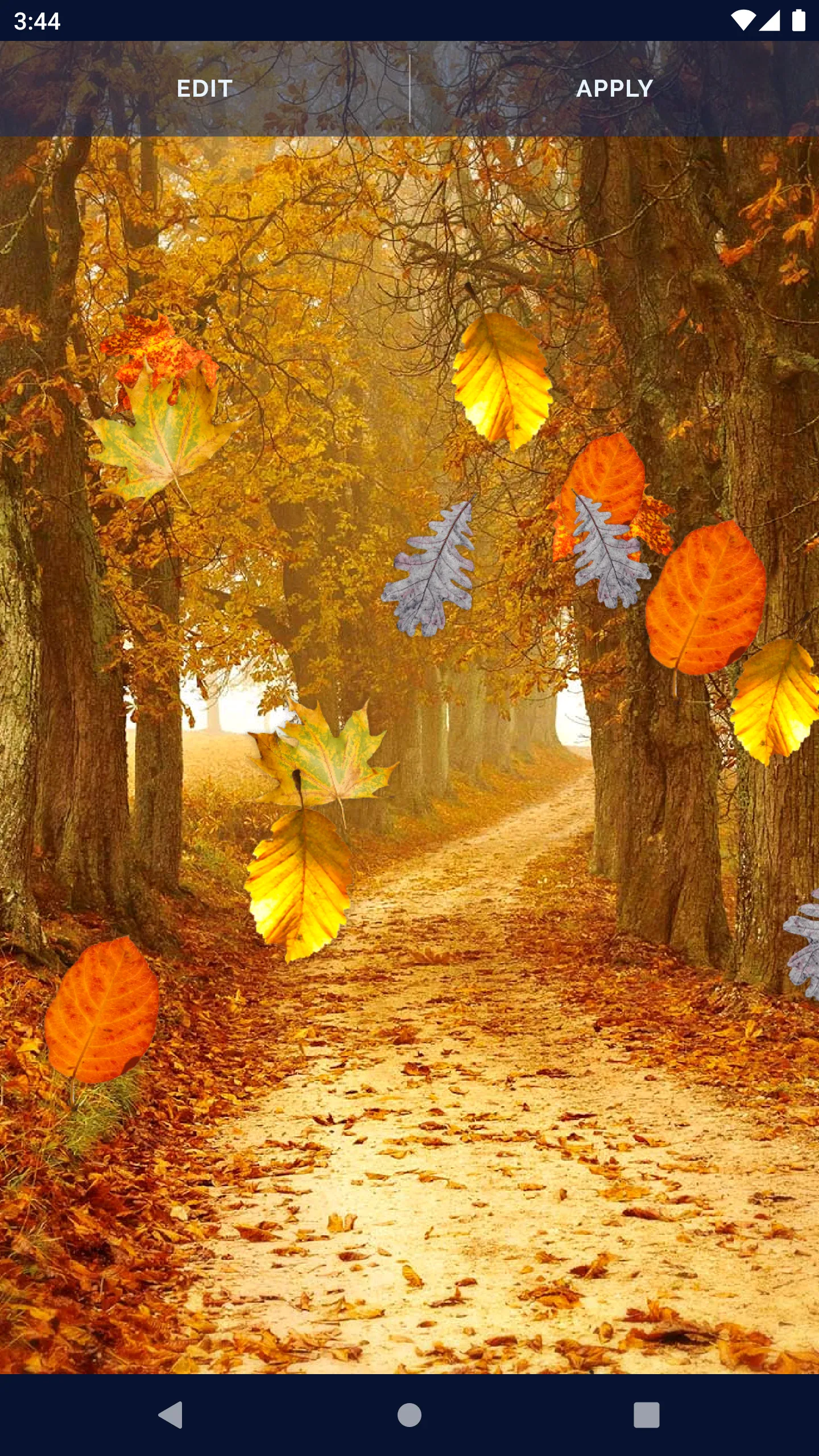 Autumn Leaves Live Wallpaper | Indus Appstore | Screenshot