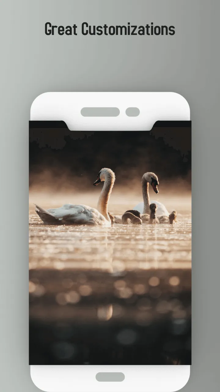 Love bird Live wallpaper | Indus Appstore | Screenshot