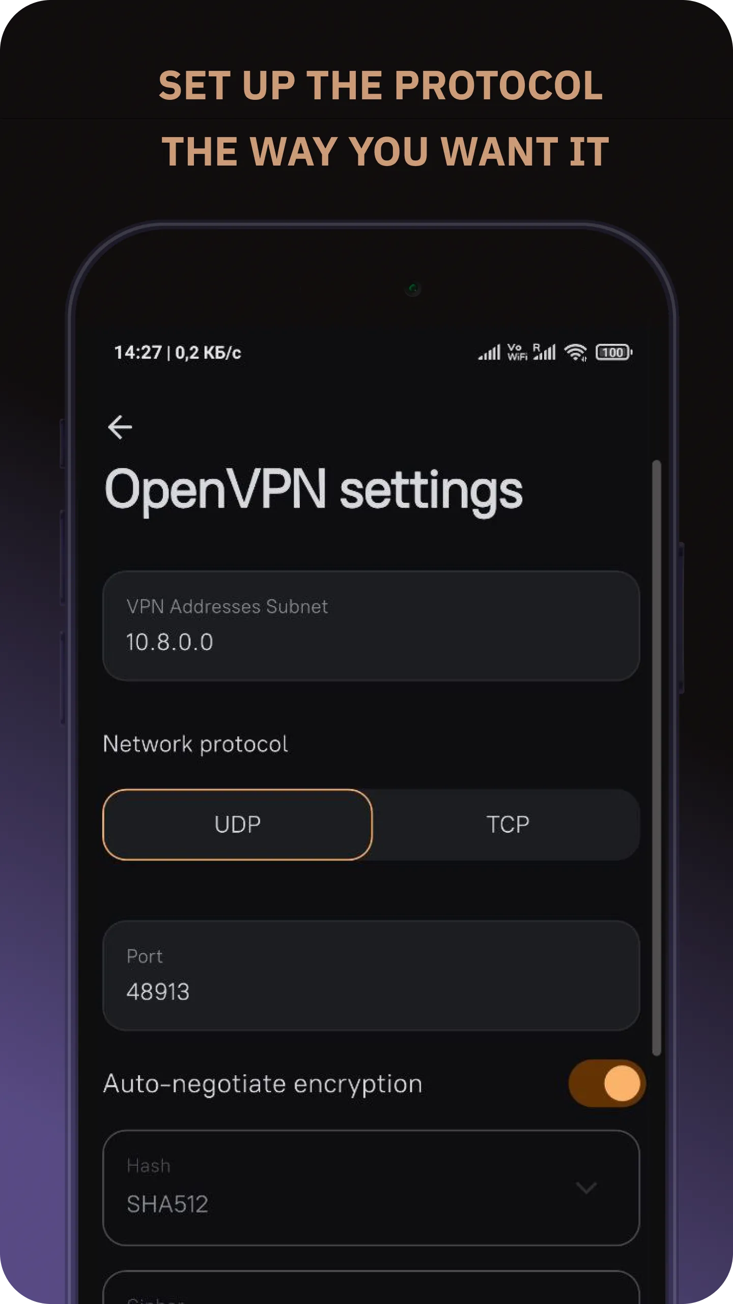 Amnezia VPN | Indus Appstore | Screenshot