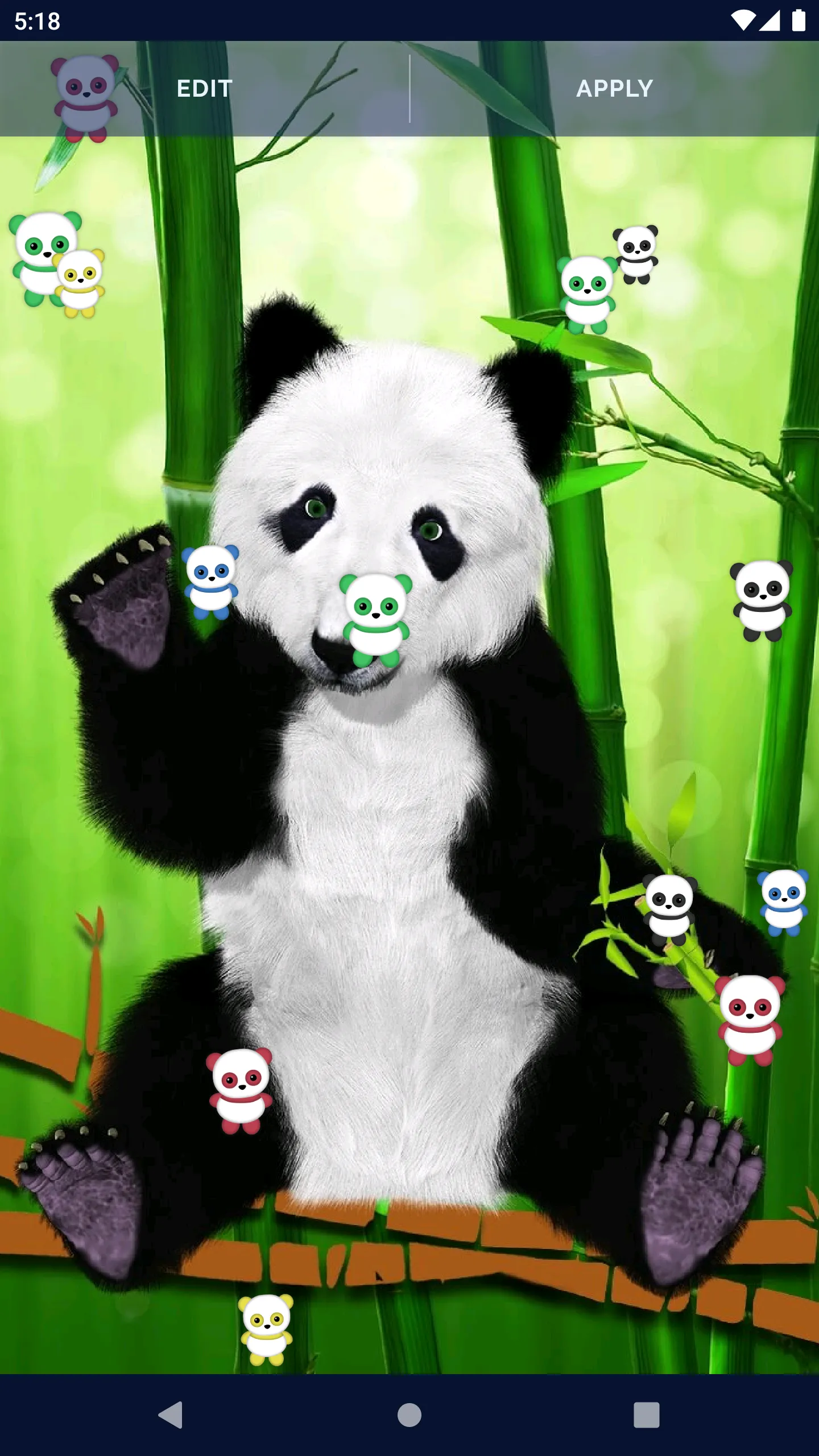 Panda Kawaii Live Wallpaper | Indus Appstore | Screenshot