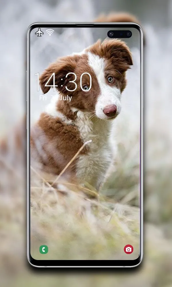 Puppy Wallpaper | Indus Appstore | Screenshot