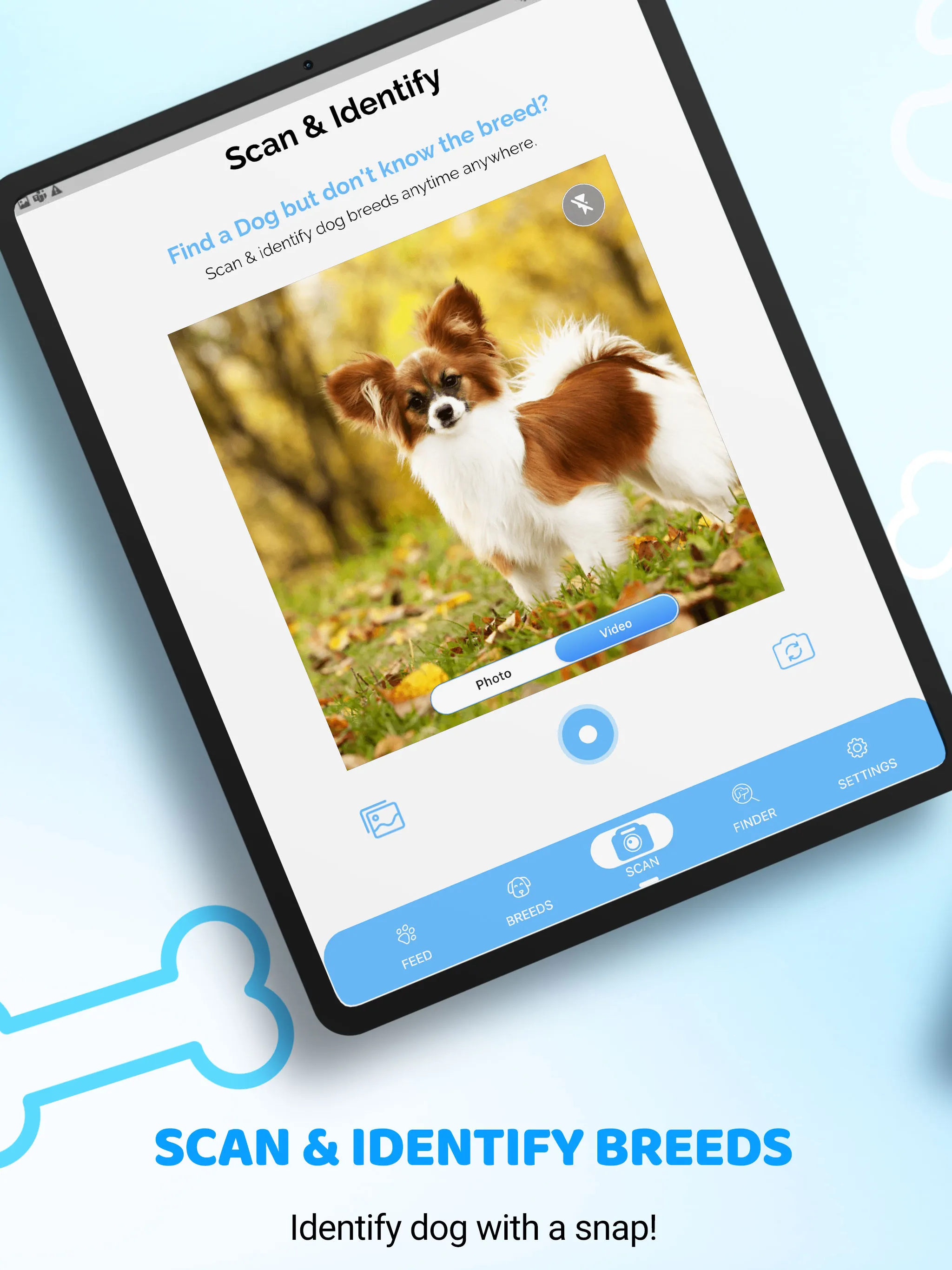 AI based Dog Breed Identifier | Indus Appstore | Screenshot