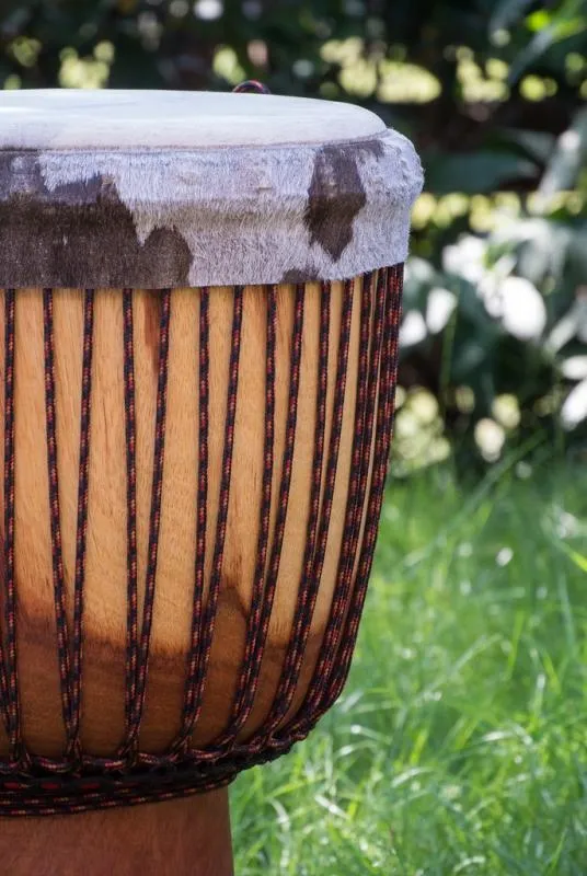 Djembe Lessons | Indus Appstore | Screenshot