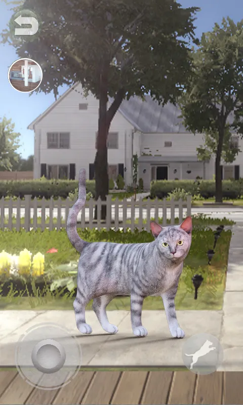 Talking Tabby Cat | Indus Appstore | Screenshot