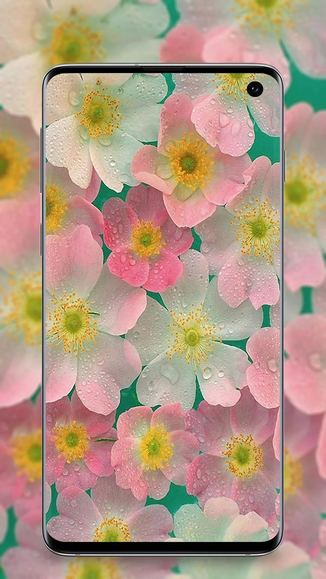 Flower Wallpaper | Indus Appstore | Screenshot