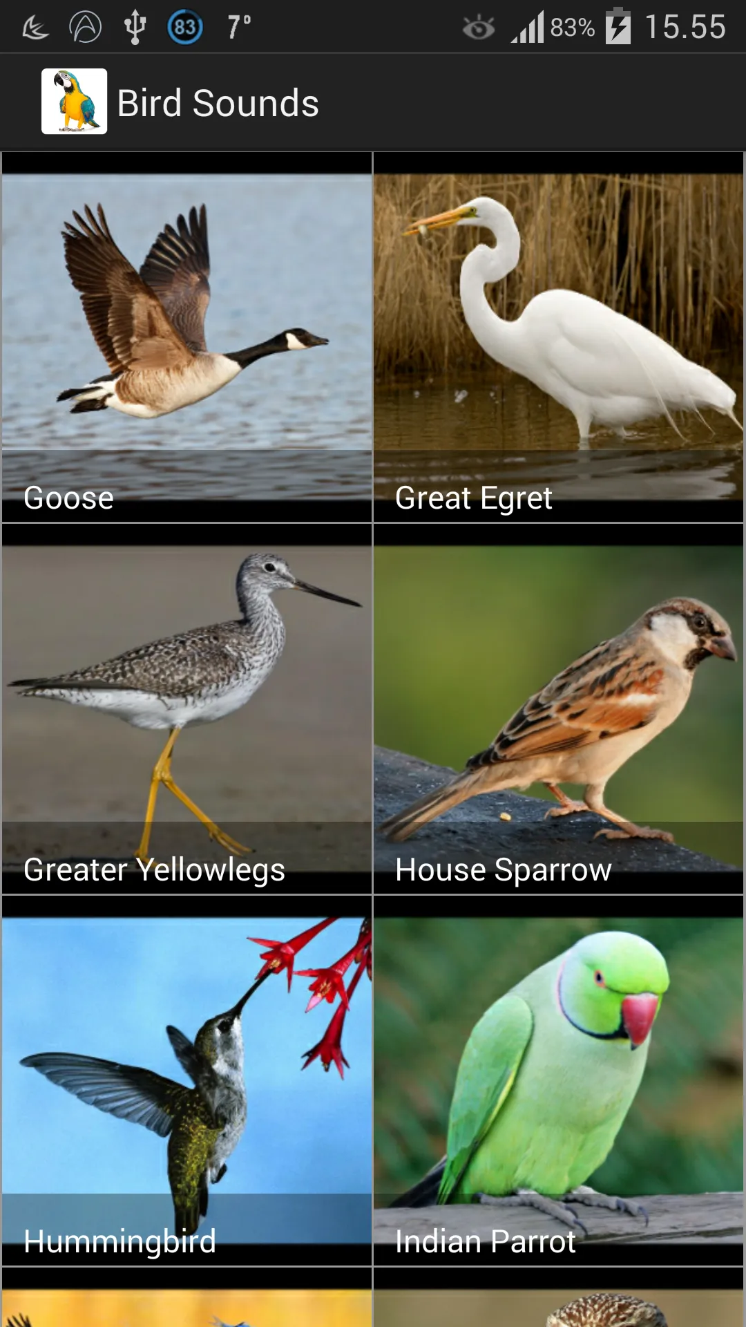 Bird Sounds | Indus Appstore | Screenshot