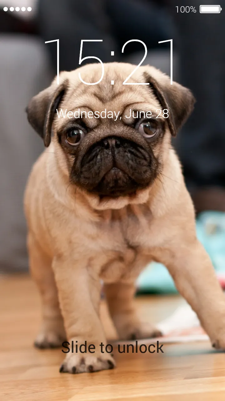 Cute Puppy Lock Screen | Indus Appstore | Screenshot