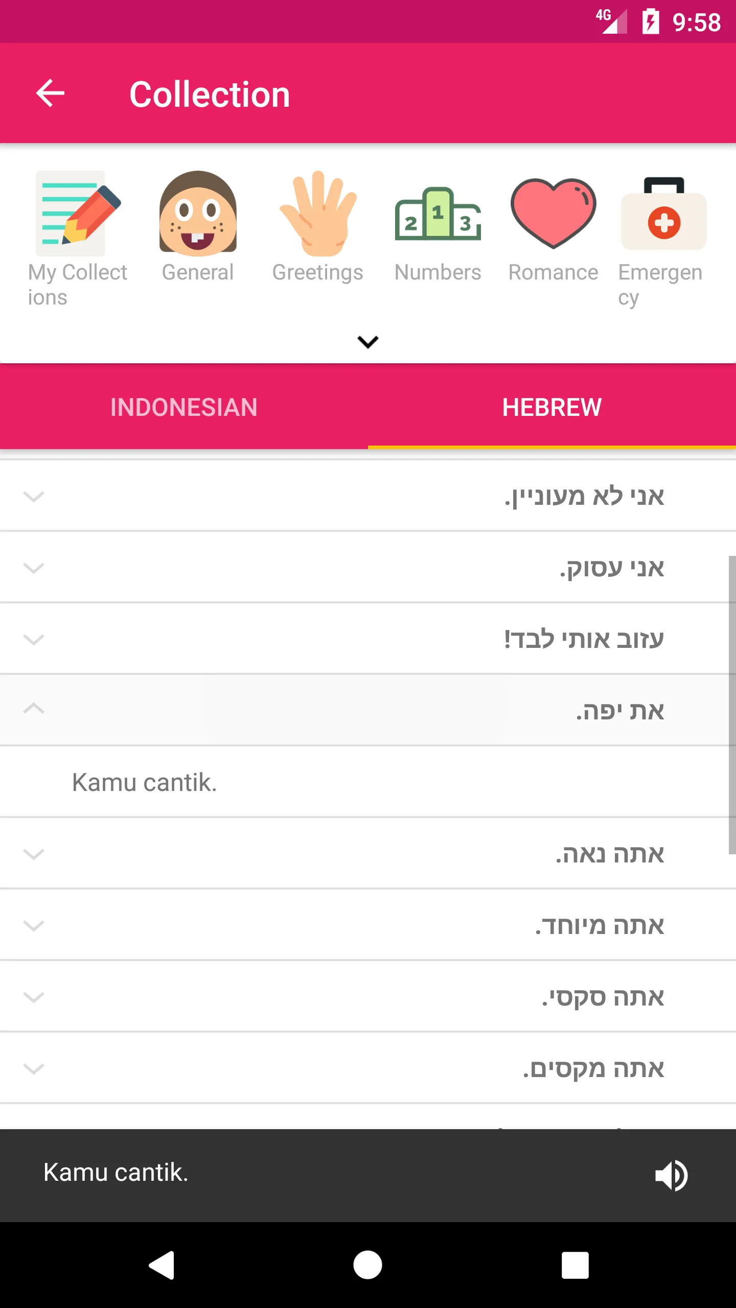 Indonesian Hebrew Dictionary | Indus Appstore | Screenshot