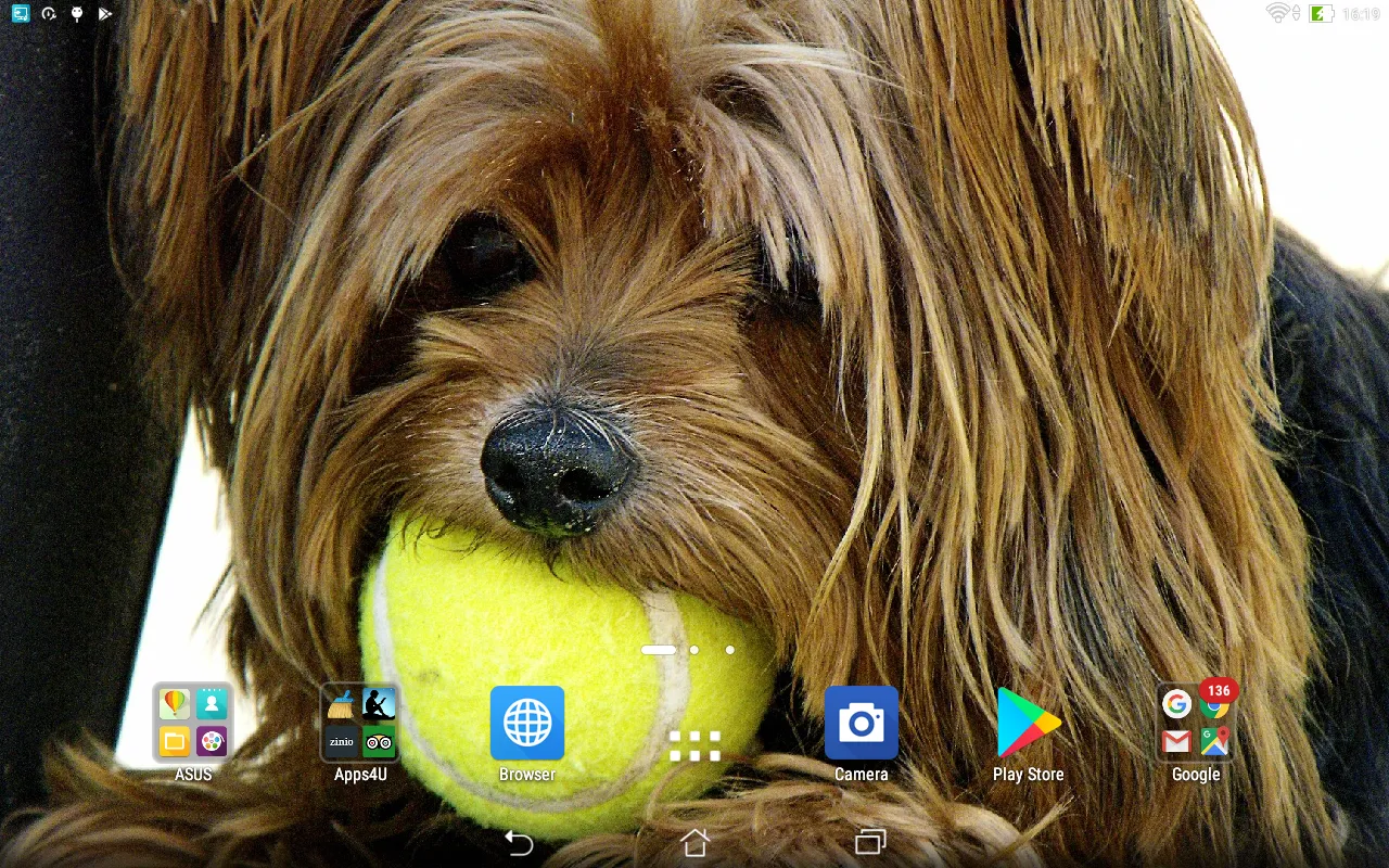 Yorkshire Terrier live wallpap | Indus Appstore | Screenshot