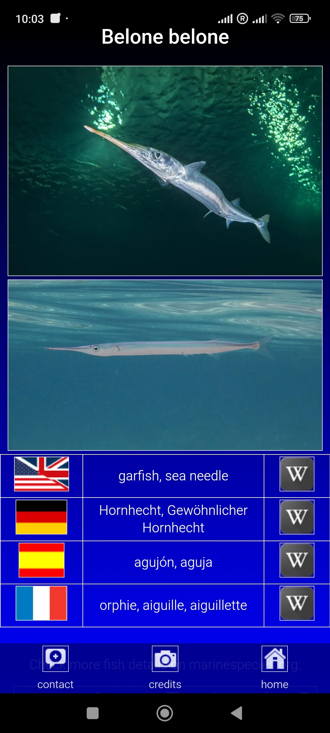 Sea fish of the North Atlantic | Indus Appstore | Screenshot