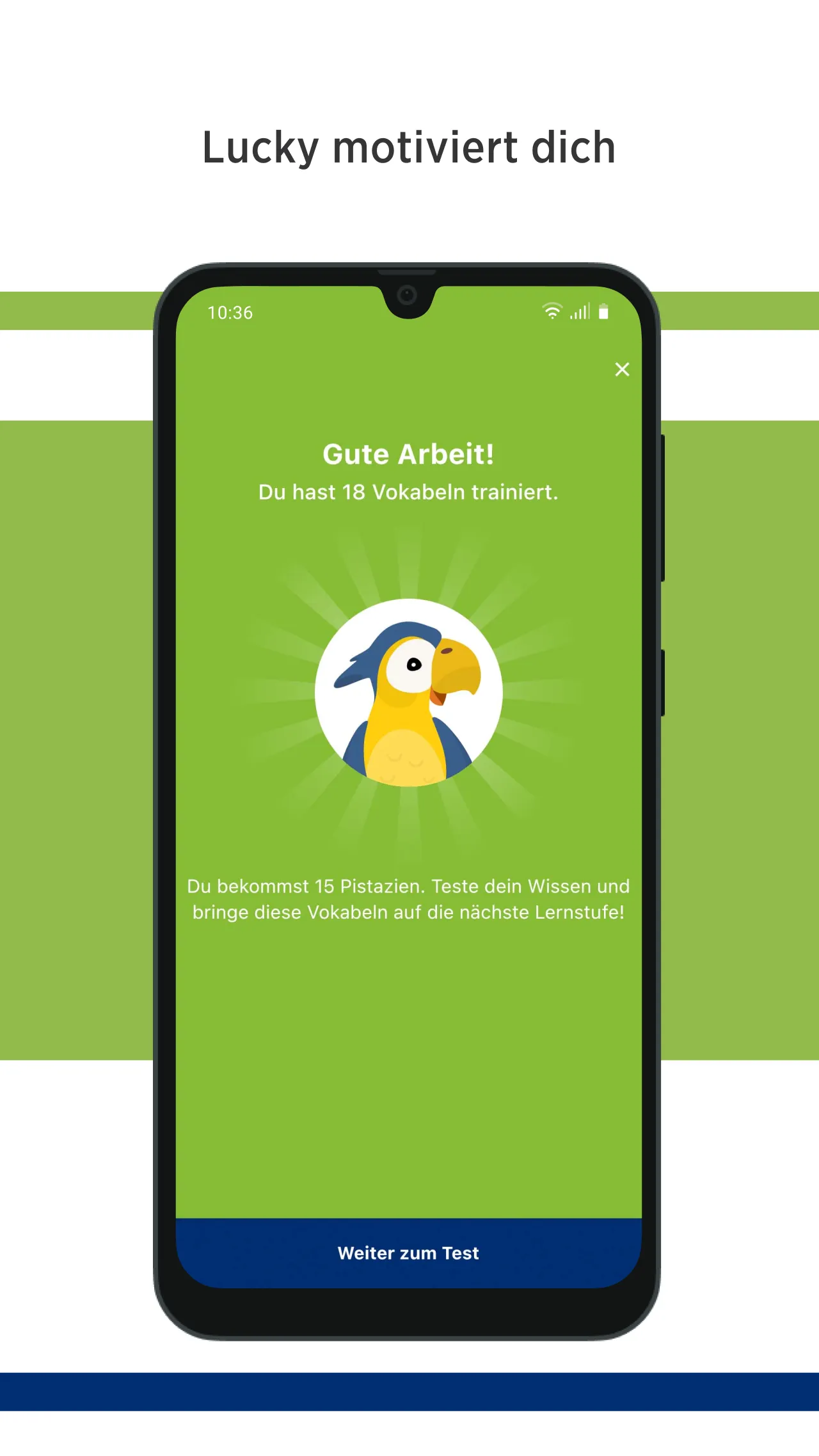 Green Line Vokabeltrainer | Indus Appstore | Screenshot