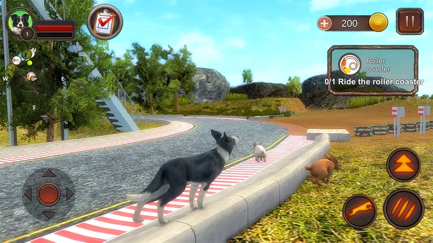 Border Collie Simulator | Indus Appstore | Screenshot