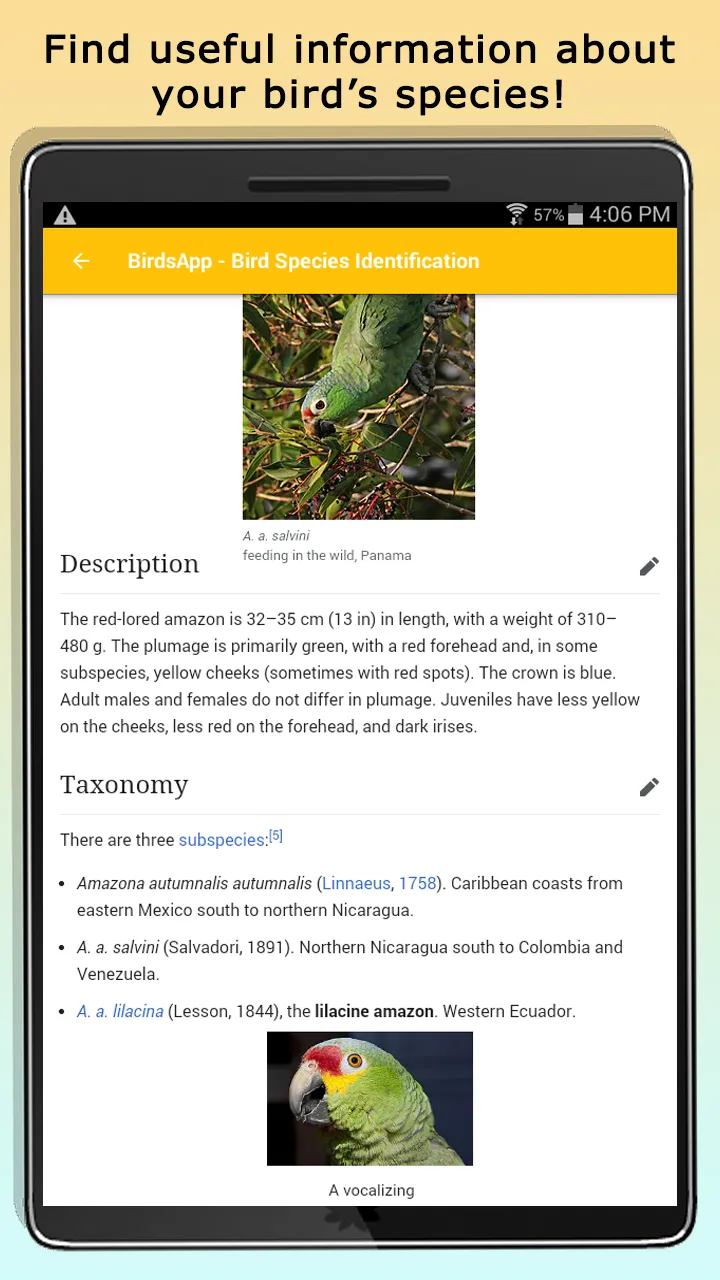 BirdsID - Identify Birds | Indus Appstore | Screenshot