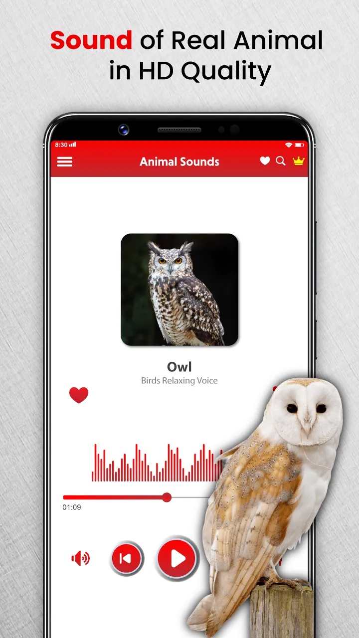 Animal Sounds Birds Ringtones | Indus Appstore | Screenshot