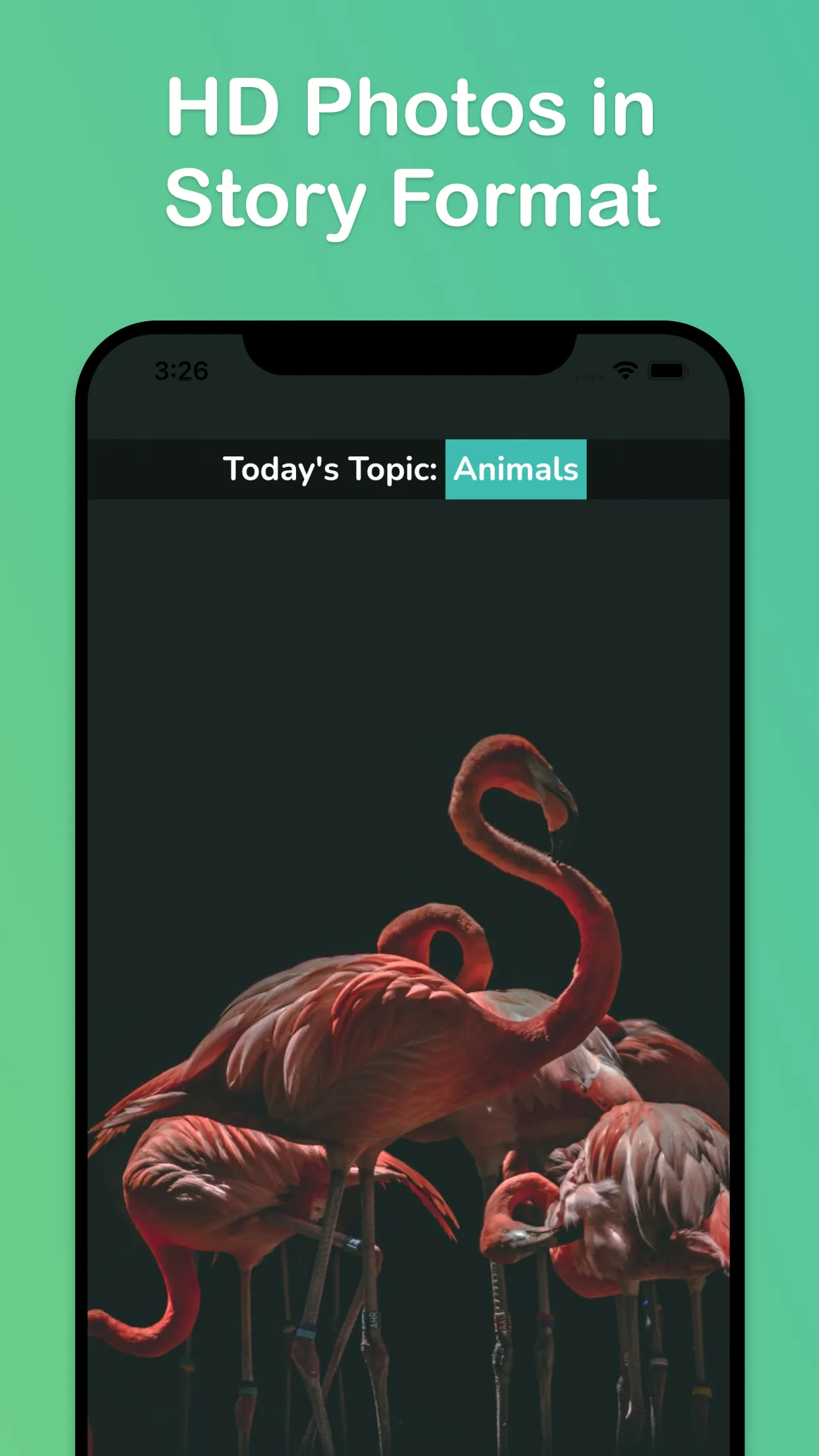 2021 Wallpaper & Widget | Indus Appstore | Screenshot