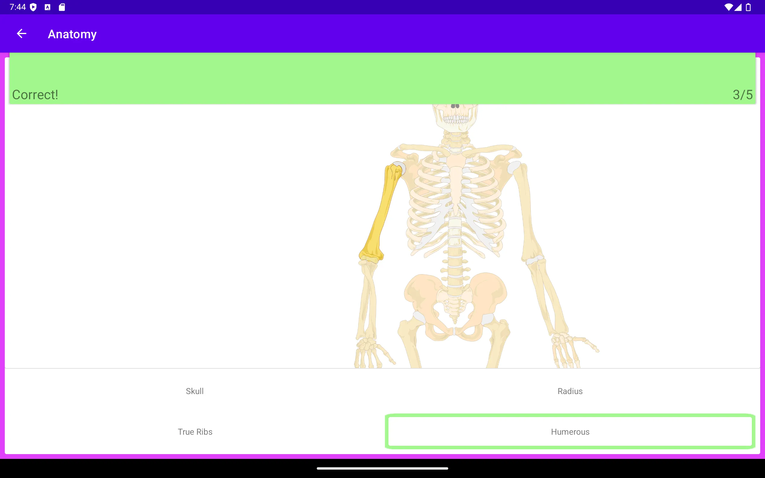 Anapptomy: anatomy study aid | Indus Appstore | Screenshot