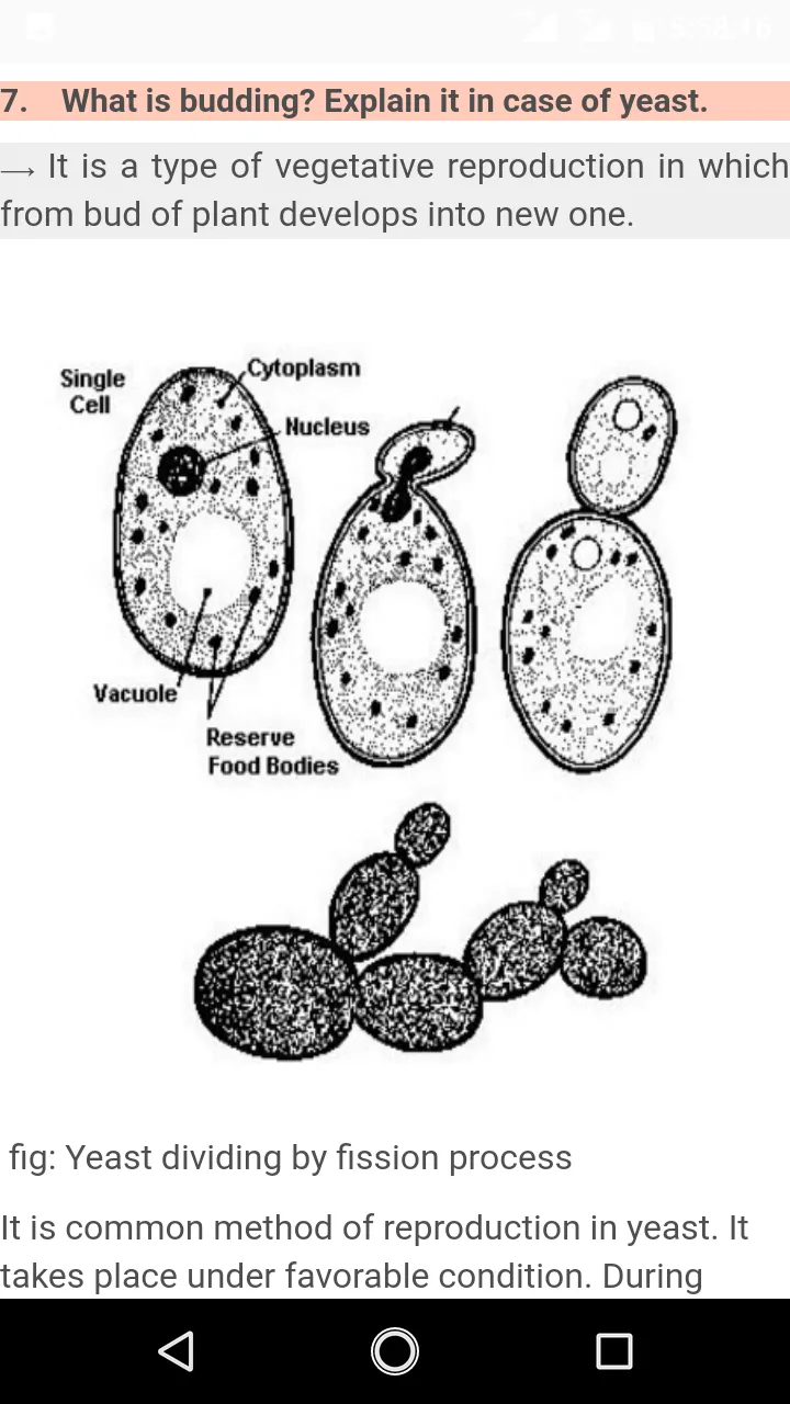 Biology Class 11 | Indus Appstore | Screenshot