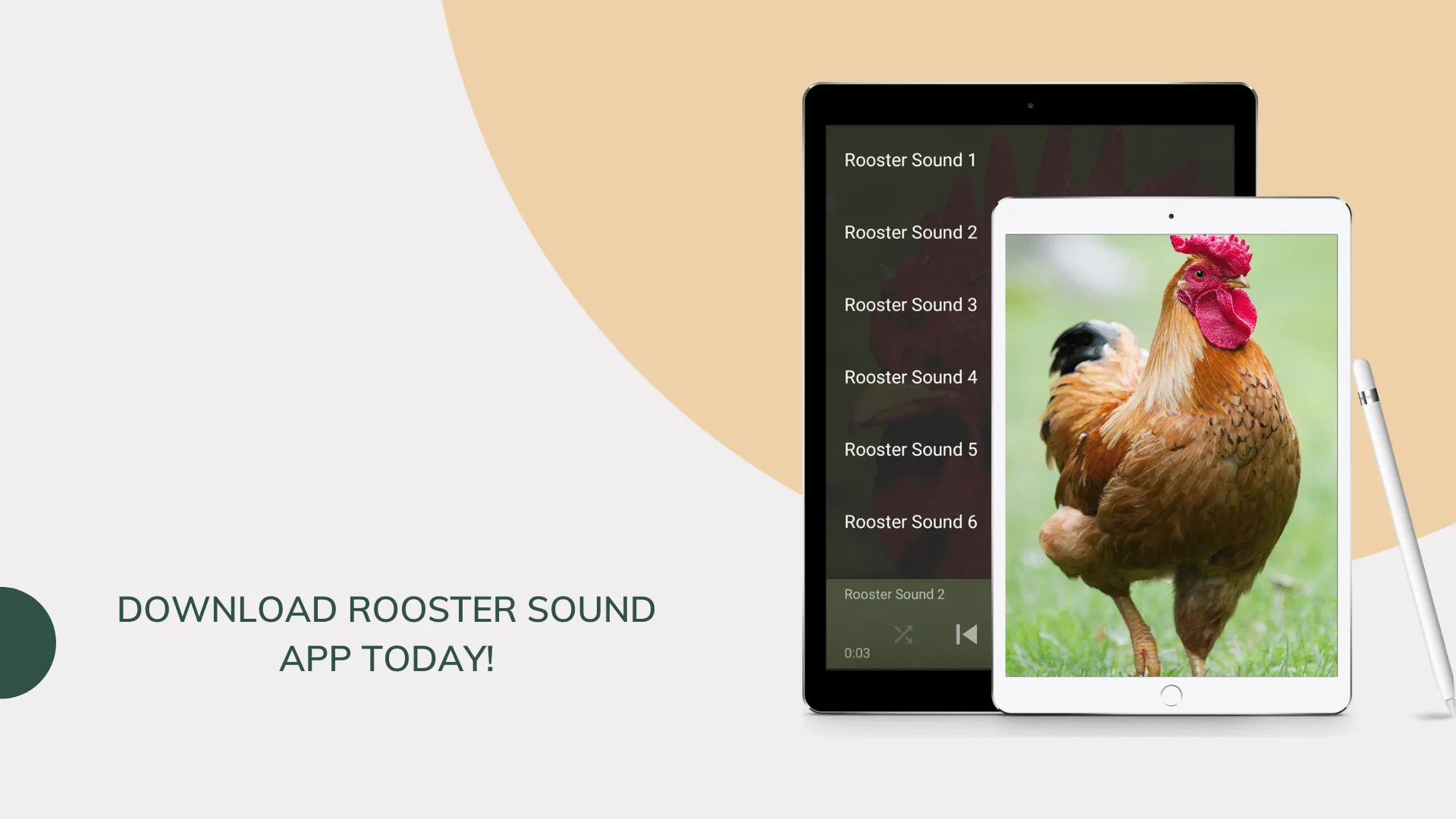 Rooster Sounds - Morning Alarm | Indus Appstore | Screenshot