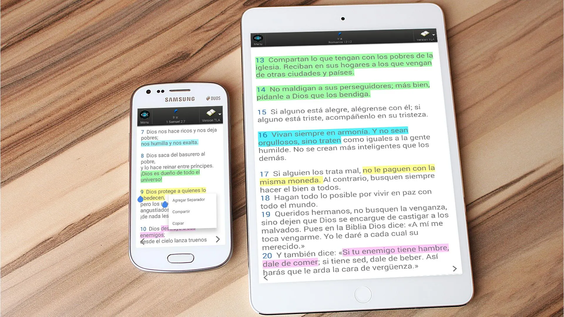 CeluBiblia AIO | Indus Appstore | Screenshot