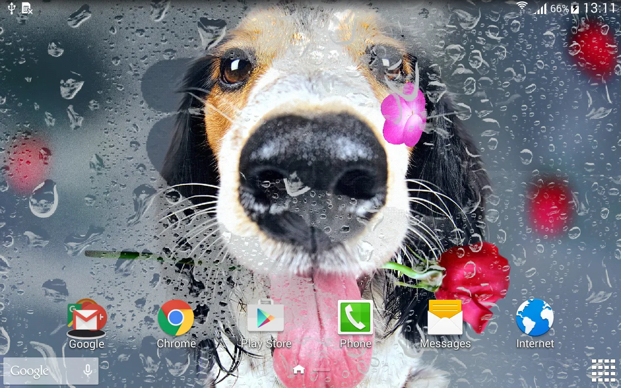 Animals Cute Live Wallpaper | Indus Appstore | Screenshot