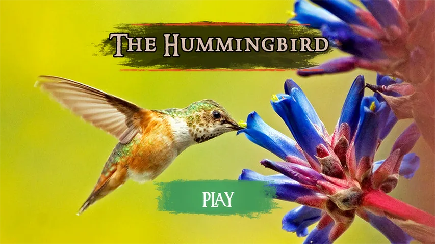 The Hummingbird | Indus Appstore | Screenshot